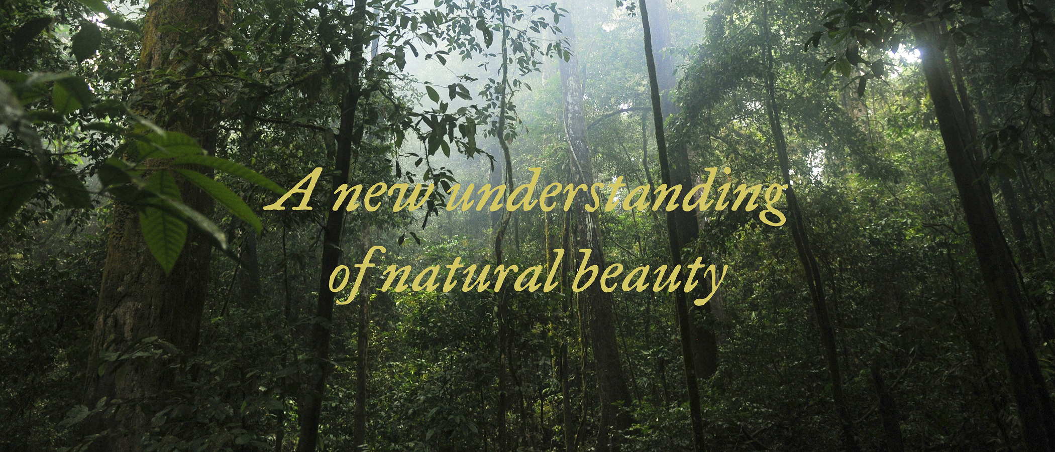 Rahua — a new understanding of natural beauty