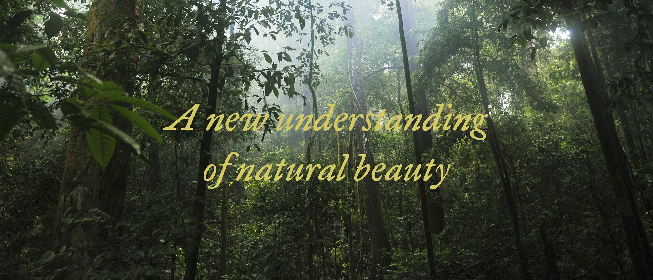 Rahua — a new understanding of natural beauty