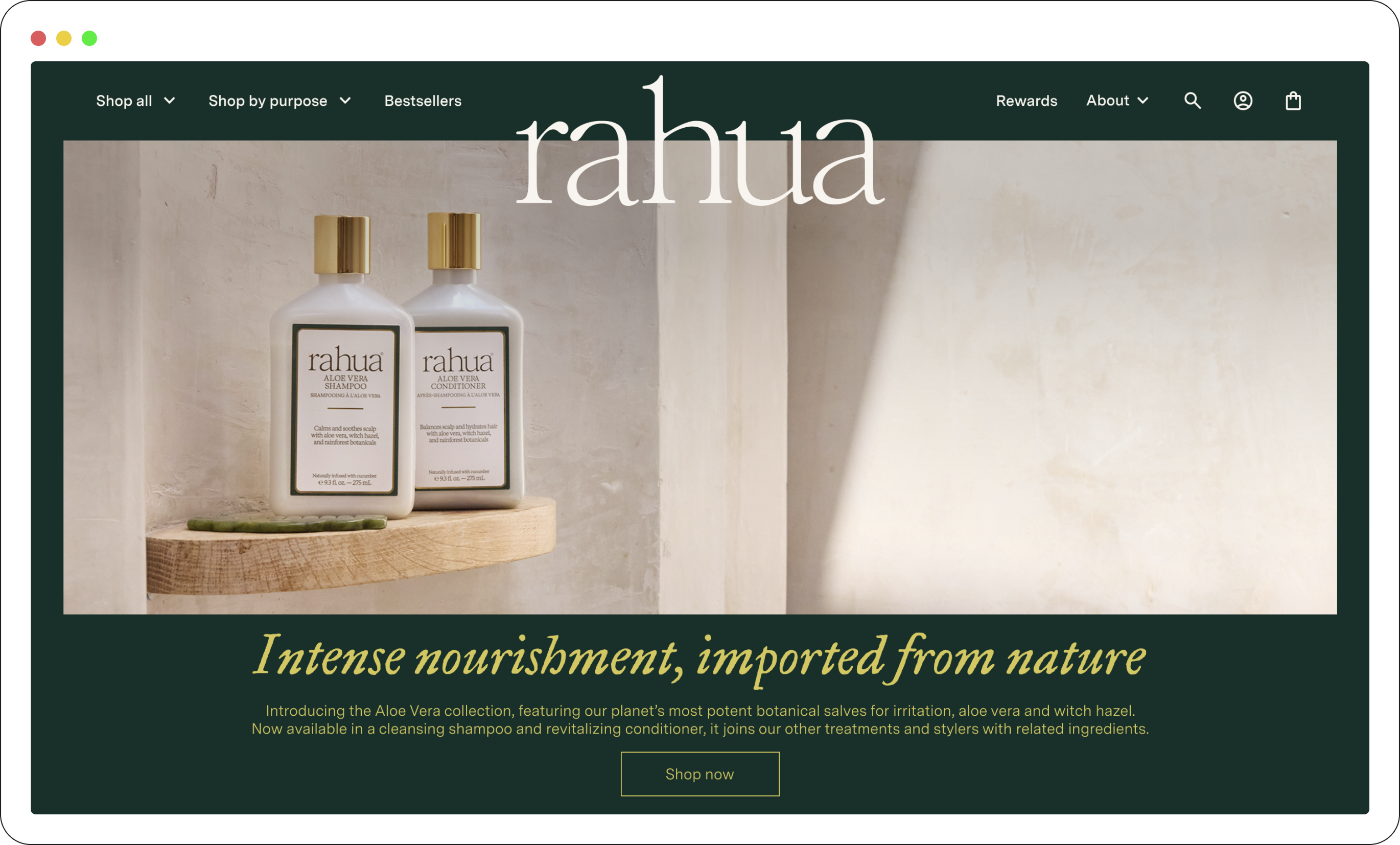 Rahua website redesign — homepage