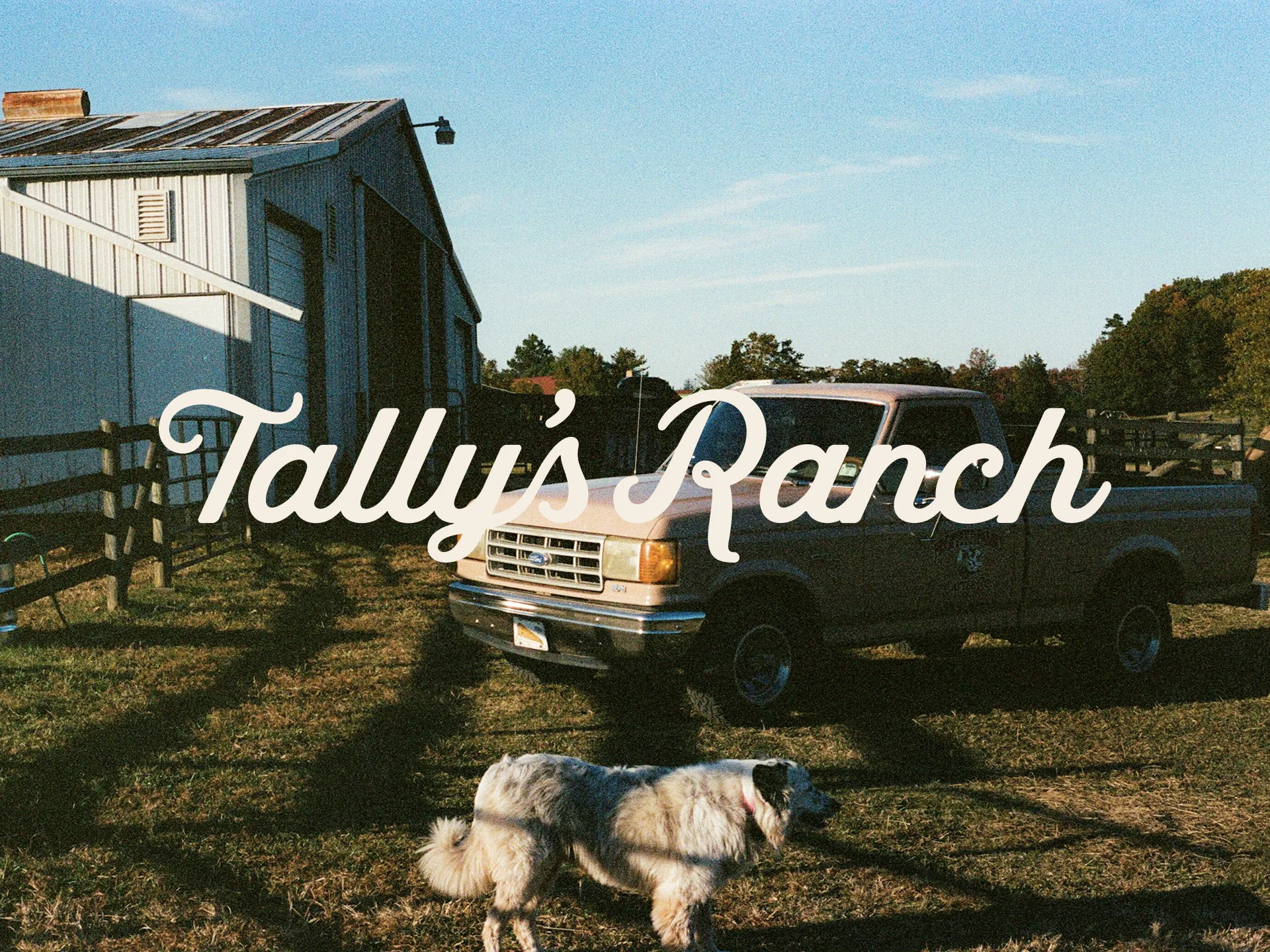 Tally's Ranch — brand identity and web design