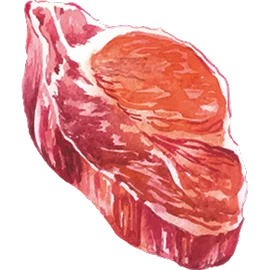 Watercolor illustration — steak