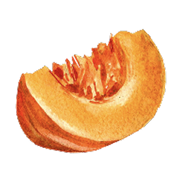 Watercolor illustration — cantaloupe