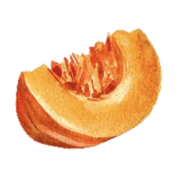 Watercolor illustration — cantaloupe