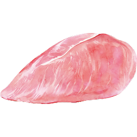 Watercolor illustration — chicken breast