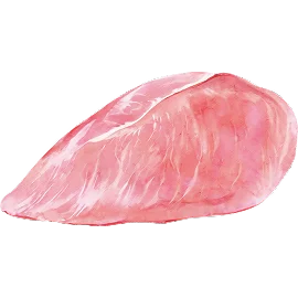 Watercolor illustration — chicken breast