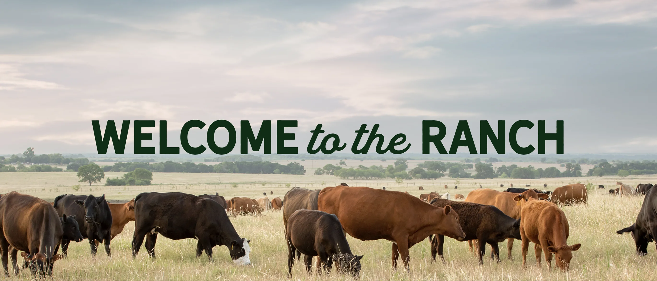 Tally's Ranch — brand overview